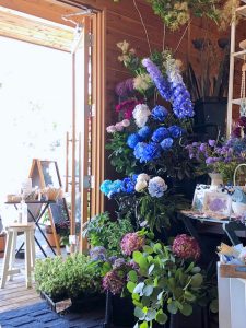 ブルーの花