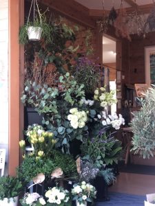 白い花