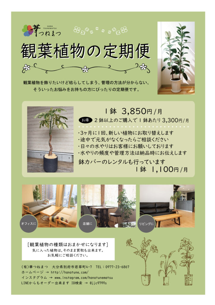 観葉植物の定期便