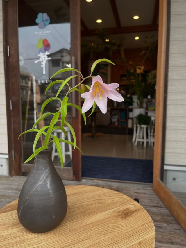 ドライフラワースワッグ＆花瓶セット】店頭＆ネットショップにて販売中